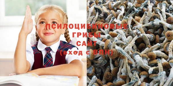 спиды Арсеньев