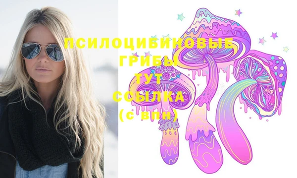 спиды Арсеньев