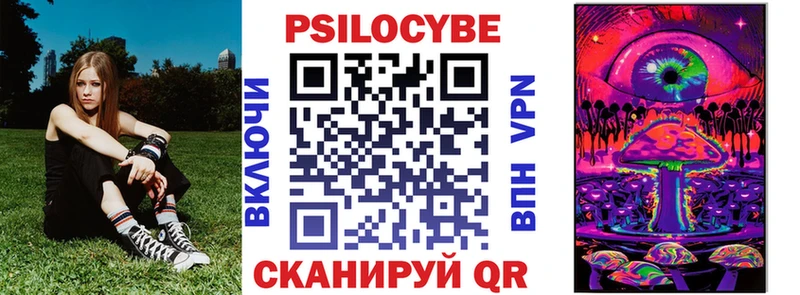 как найти закладки  Гаджиево  shop телеграм  Псилоцибиновые грибы MAGIC MUSHROOMS 