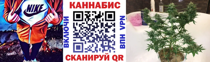 Бошки марихуана индика  mega зеркало  Гаджиево 